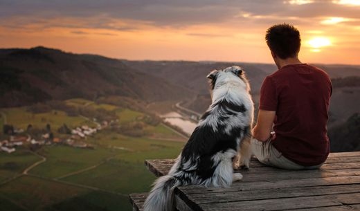 Man sitting with his dog on a mountain.