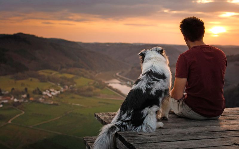 Man sitting with his dog on a mountain.