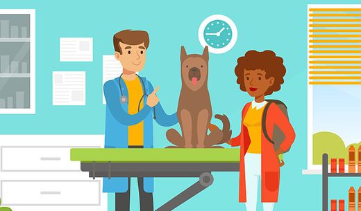 Illustration of a veterinarian with client.