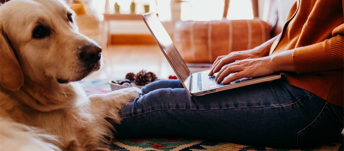 Woman working on laptop with dog next to her.