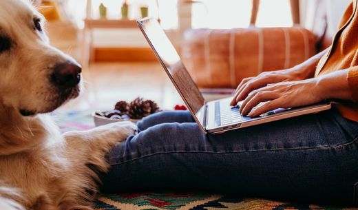 Woman working on laptop with dog next to her.