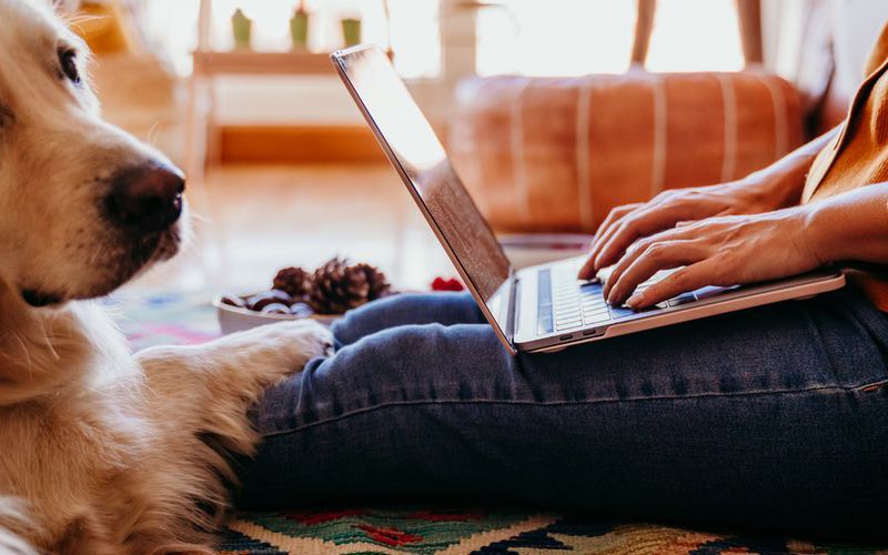 Woman working on laptop with dog next to her.