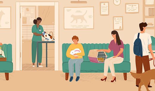 Illustration of a busy veterinary clinic