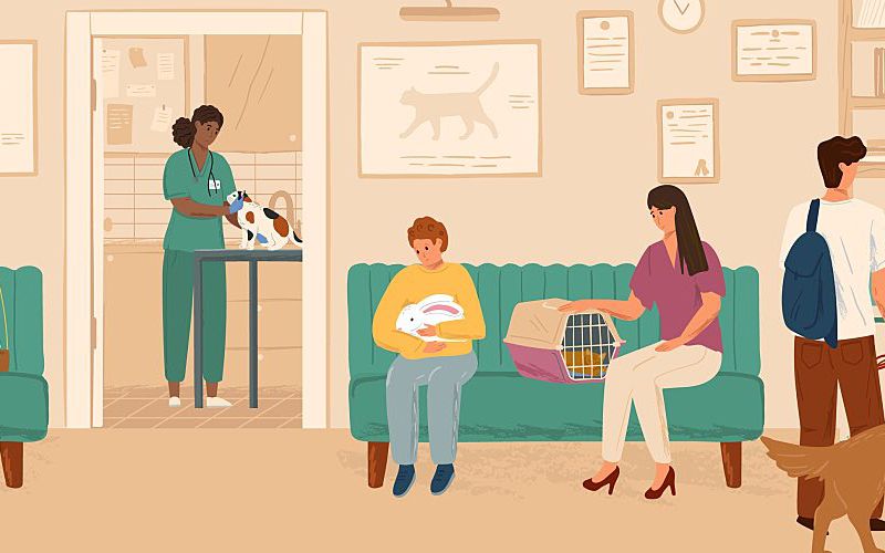 Illustration of a busy veterinary clinic