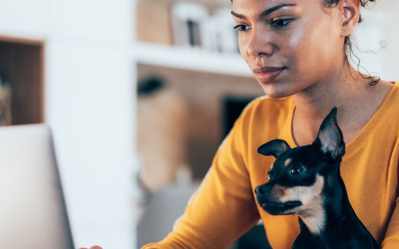 African American woman sitting with dog on her lap while working on the computer.