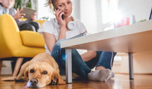 Veterinary customer listens to clinic on-hold message.