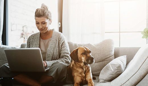 Woman working on laptop sitting next to dog.