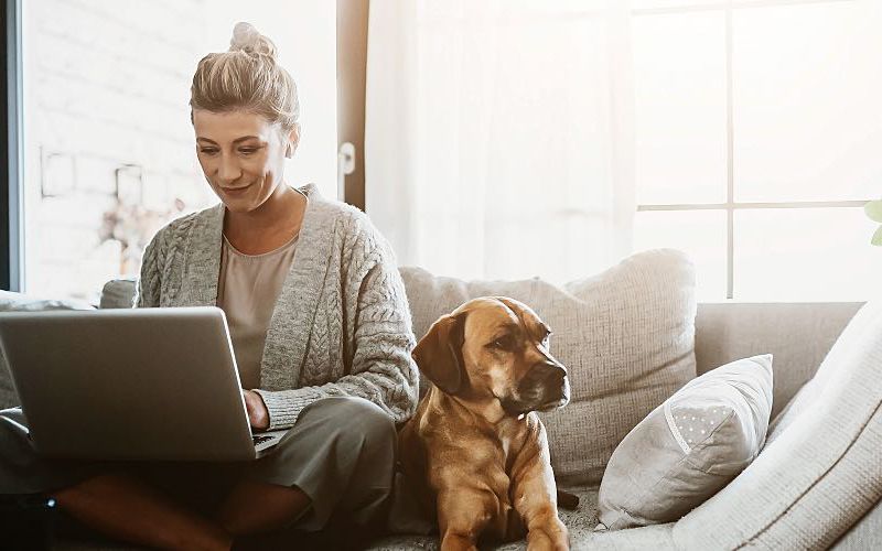Woman working on laptop sitting next to dog.
