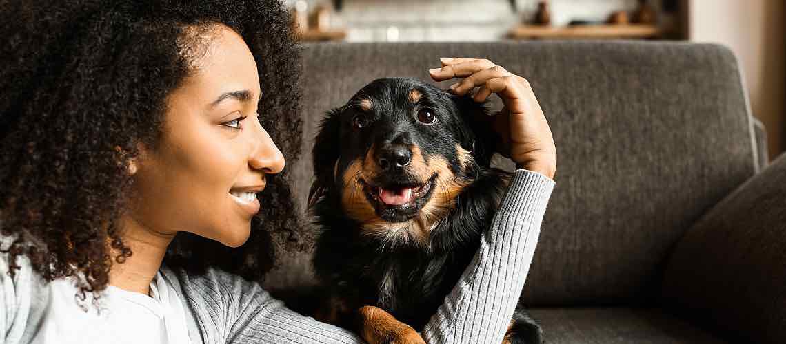 A pet owner petting a dog on a couch.