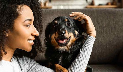 A pet owner petting a dog on a couch.