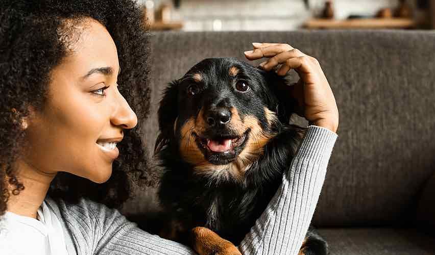 A pet owner petting a dog on a couch.