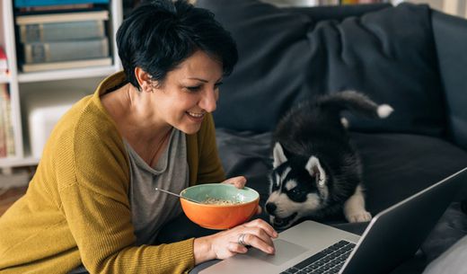 Woman reading on laptop with dog.