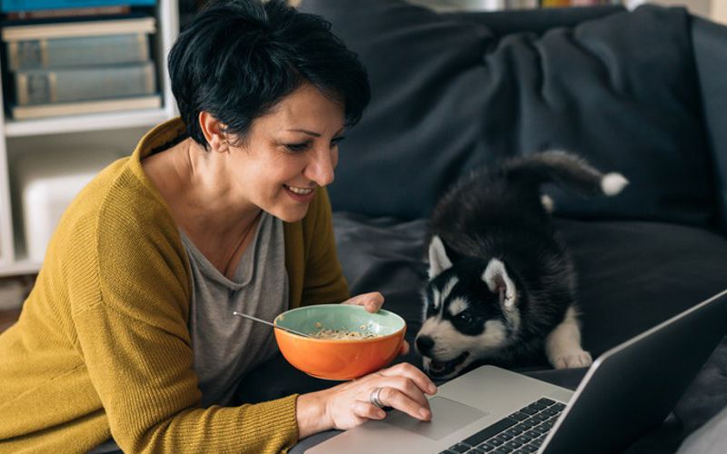 Woman reading on laptop with dog.