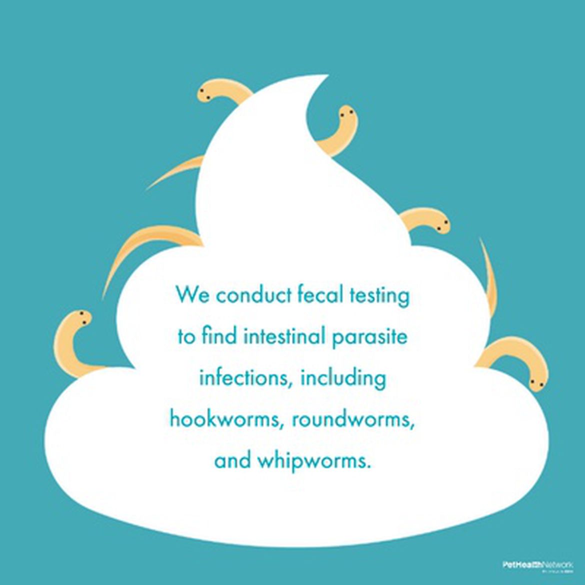 Social media post for how fecal antigen testing helps us find intestinal parasite infections.