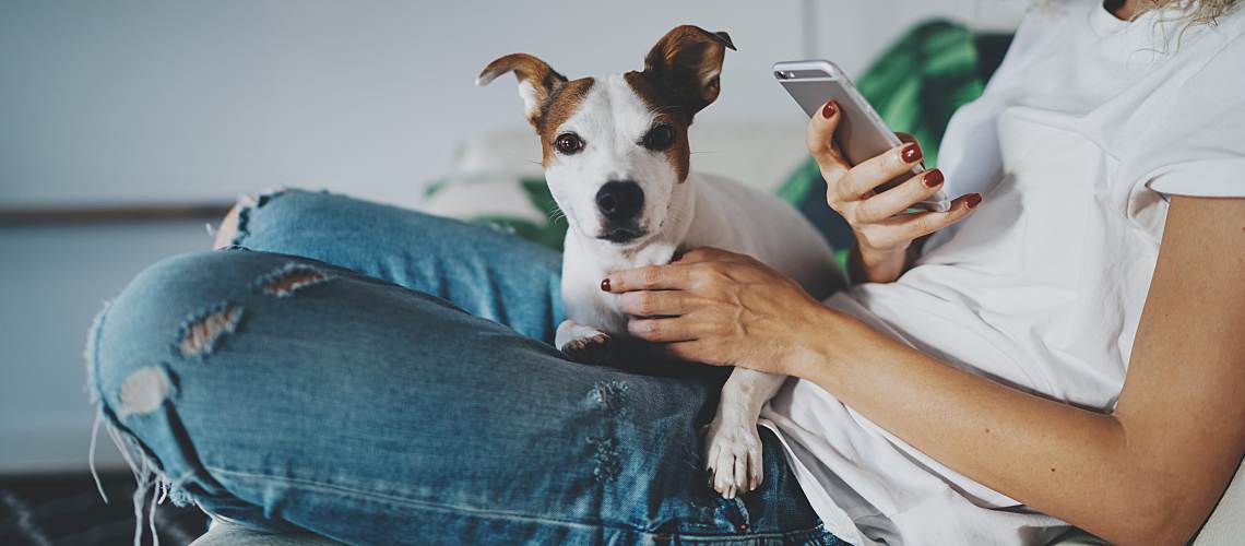 Millennial woman looking at iPhone with dog sitting on her lap.