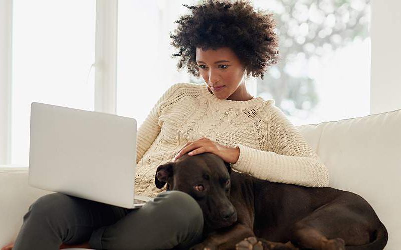 Woman uses computer while snuggling her dog on couch.