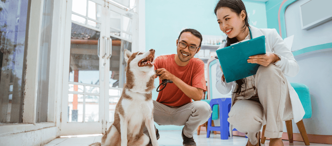 Veterinarian meeting a new patient and client.