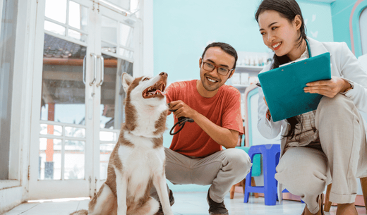 Veterinarian meeting a new patient and client.