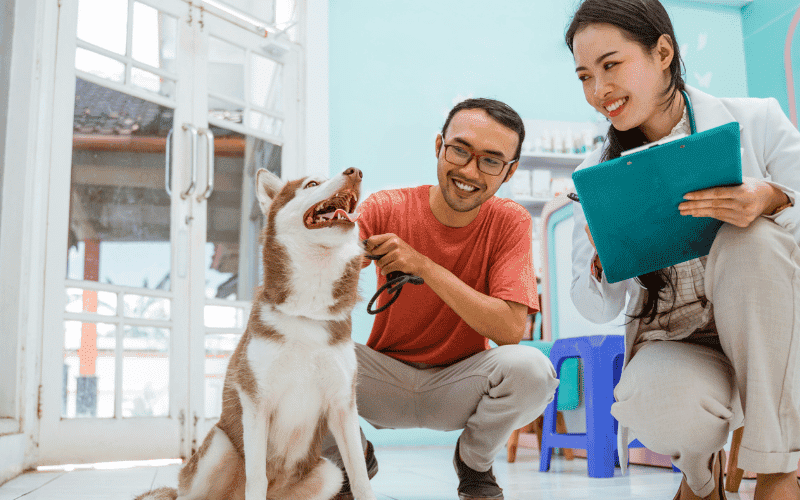 Veterinarian meeting a new patient and client.