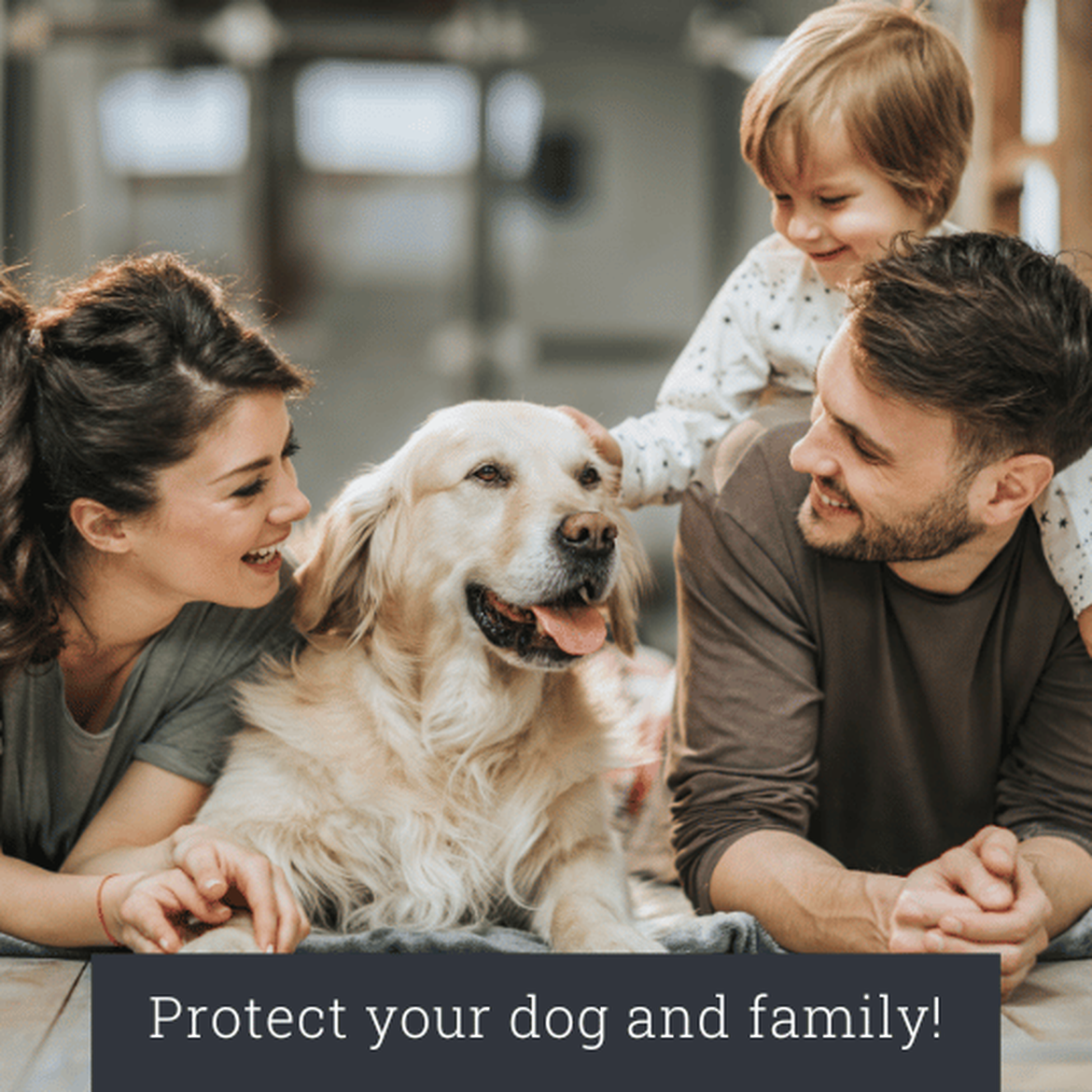 Family on the ground with dog.