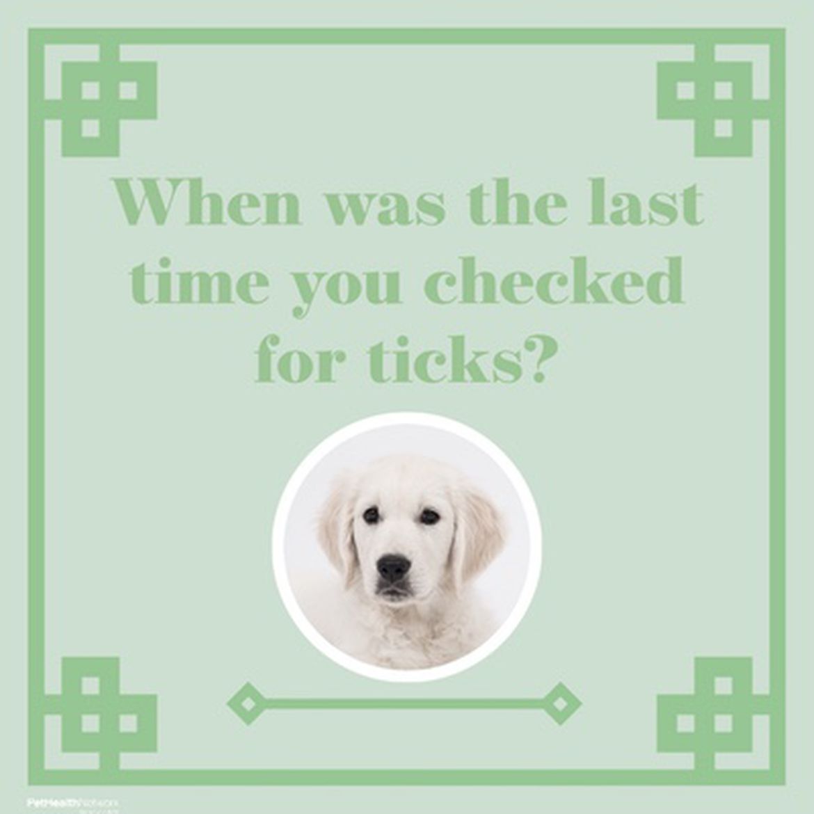 Social media post to remind pet owners to regularly check for ticks on their pets.