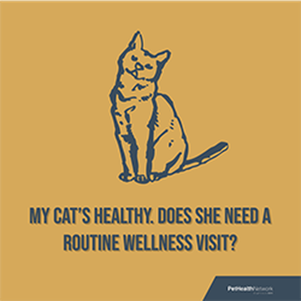 Social media post on a wellness visit for cats.