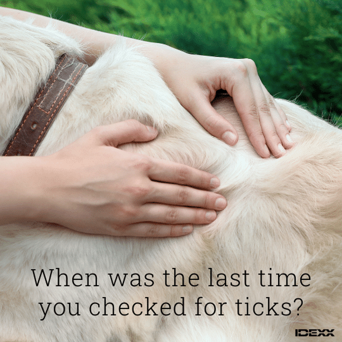 Social media post educating on the importance of checking for ticks regularly.