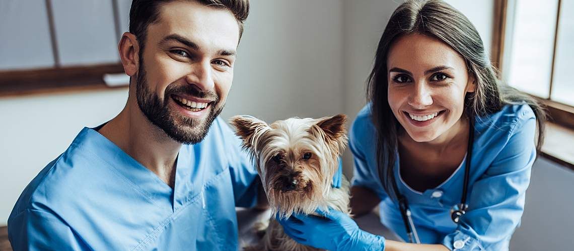A young male and female veterinarian smile with a small dog.