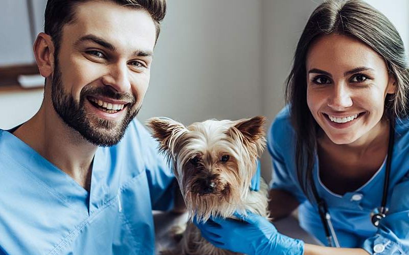A young male and female veterinarian smile with a small dog.