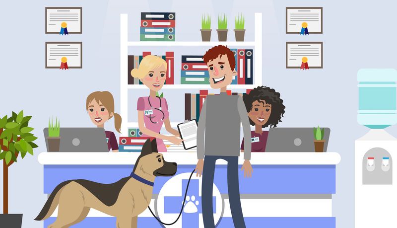 Graphic illustration of a veterinary practice.