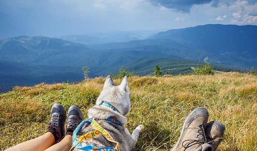 People with a dog sitting on the side of a mountain.