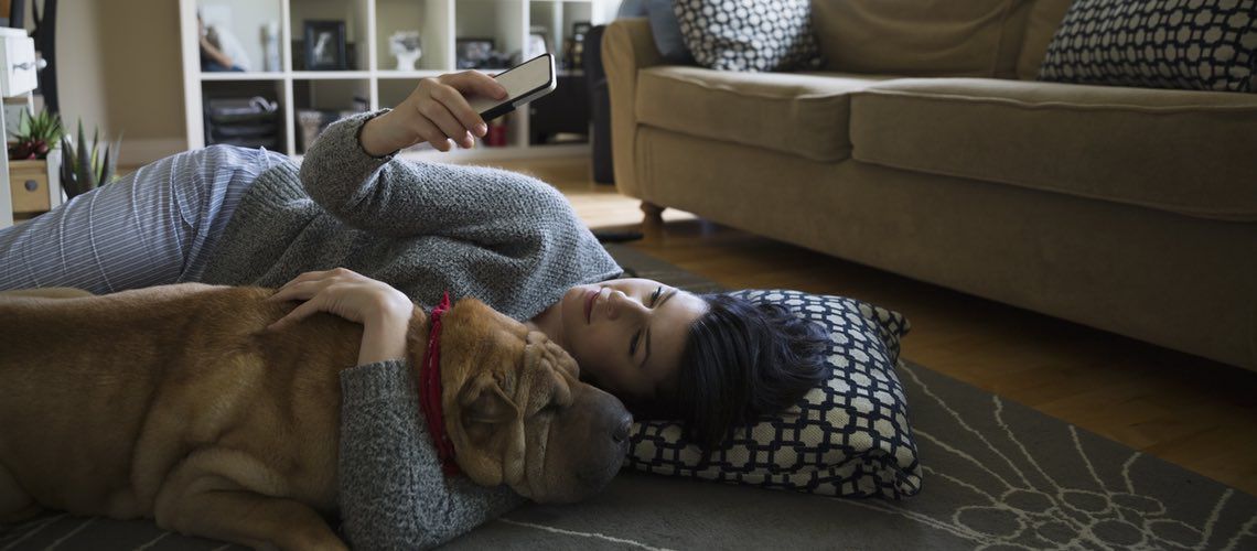 Veterinary client hugging dog and using smartphone for social media.