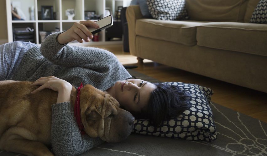 Veterinary client hugging dog and using smartphone for social media.