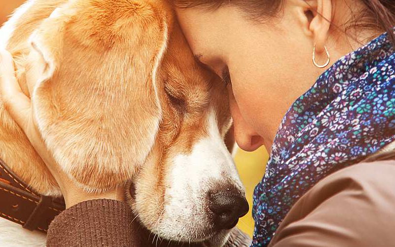 Stressed woman finds comfort hugging her dog.