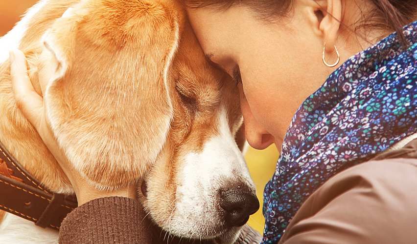 Stressed woman finds comfort hugging her dog.