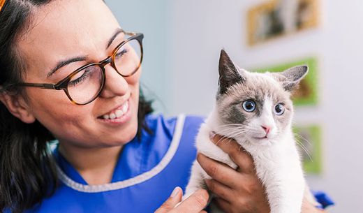 A vet tech evaluates a kitten.