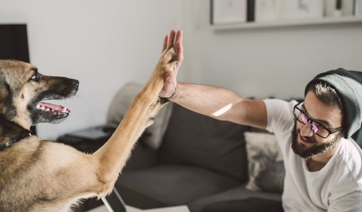 Millennial man giving a high five to hisdog.