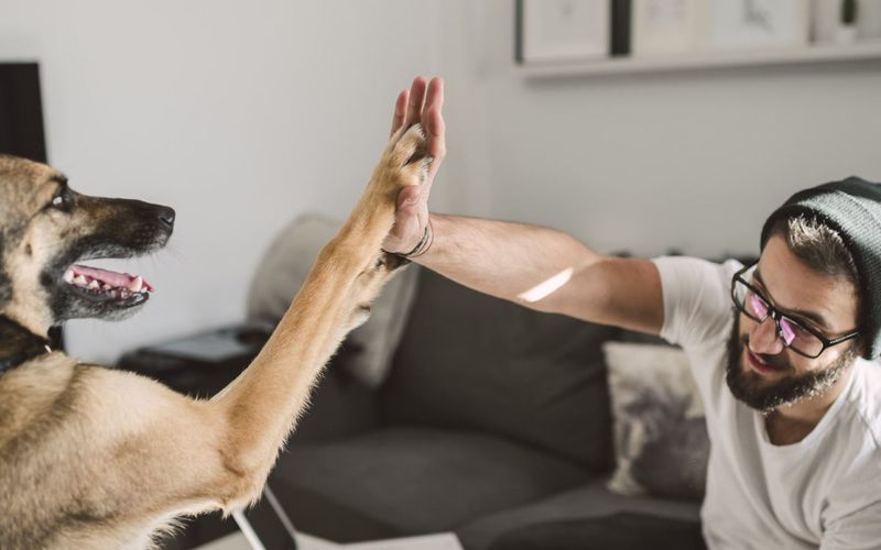 Millennial man giving a high five to hisdog.