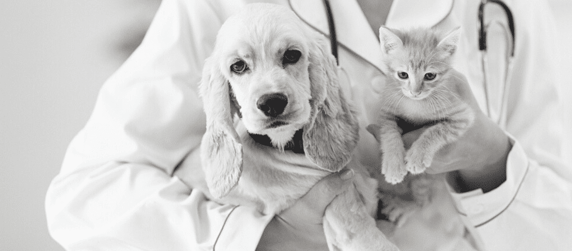 A vet in a white coat holding a dog and kitten.
