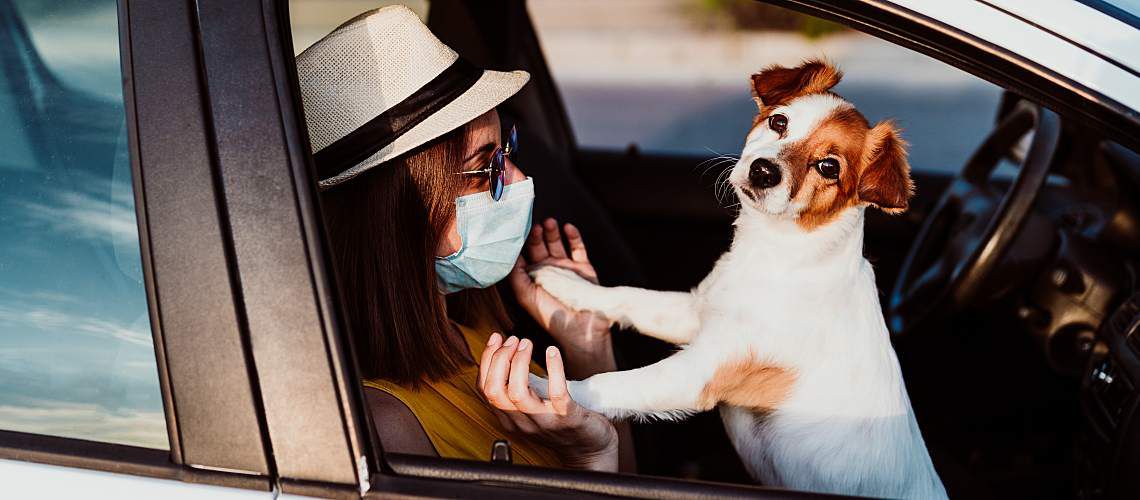 Young woman waiting in her car with her dog for curbside check-in at her veterinary practice.