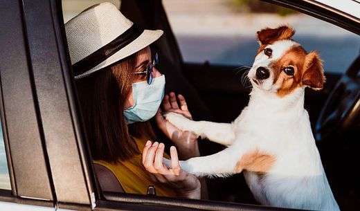 Young woman waiting in her car with her dog for curbside check-in at her veterinary practice.