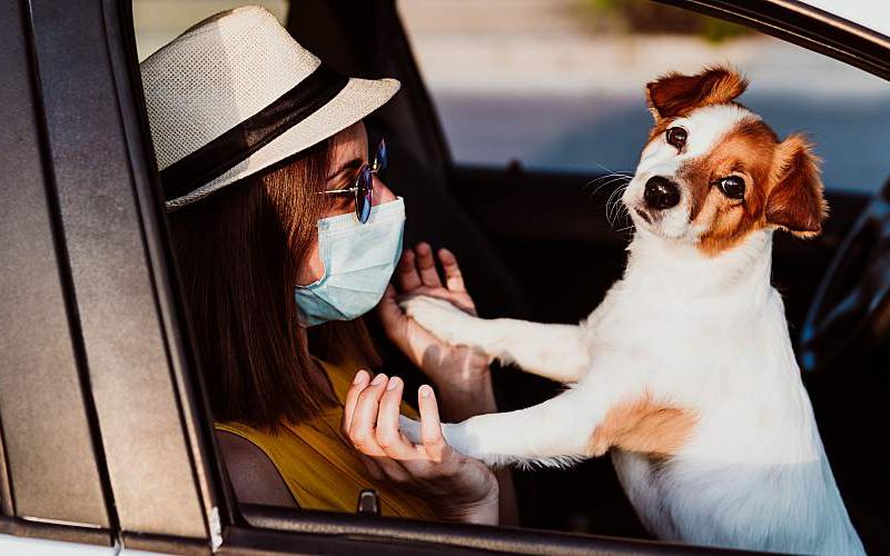 Young woman waiting in her car with her dog for curbside check-in at her veterinary practice.