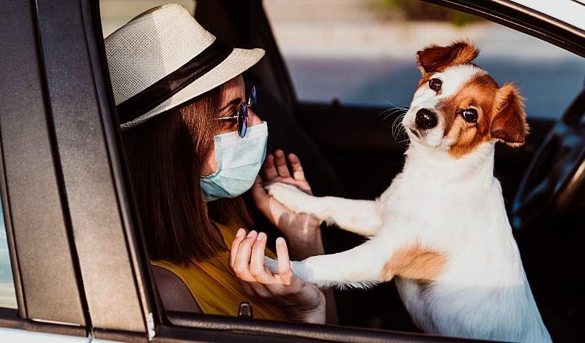 Young woman waiting in her car with her dog for curbside check-in at her veterinary practice.