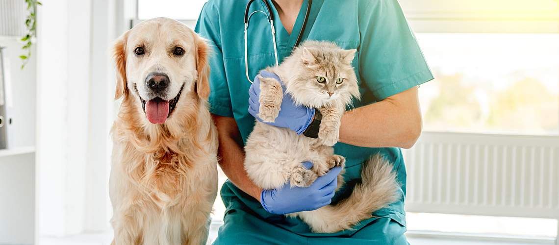 A veterinarian sits next to a dog and holds a cat.