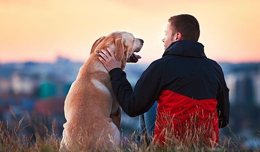 Man sitting on mountain with dog.