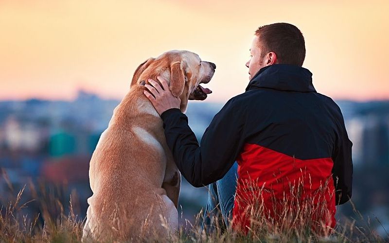 Man sitting on mountain with dog.