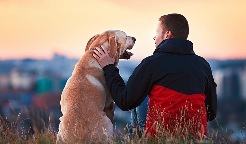 Man sitting on mountain with dog.