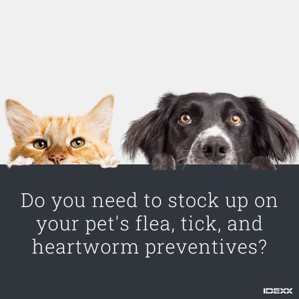 Social media post educating on heartworm preventives.