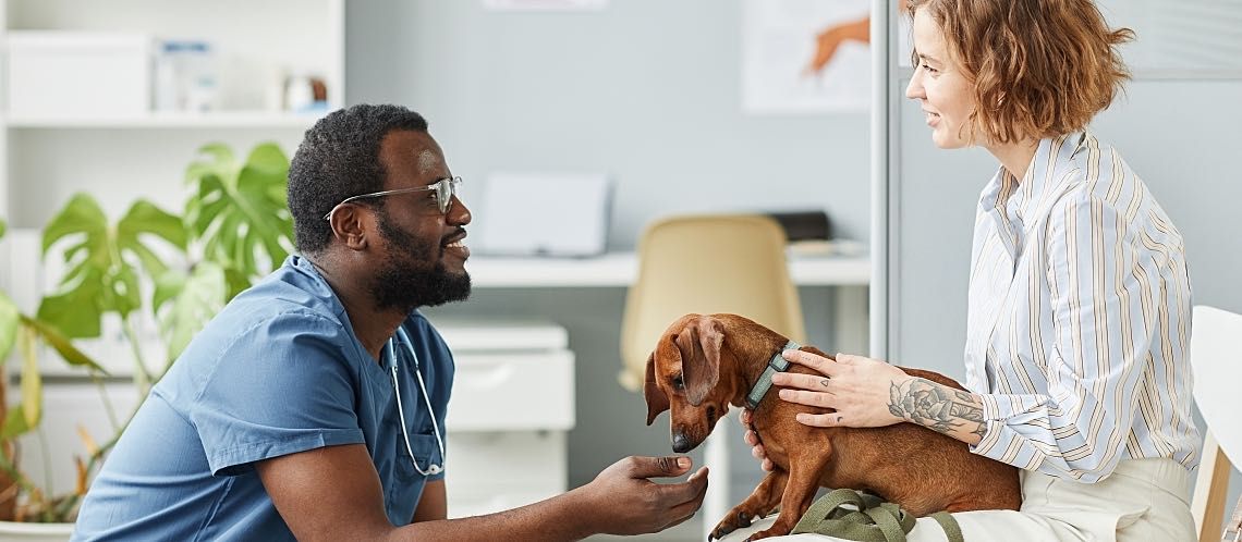 A vet kneeling in front of client with dog patient in lap.