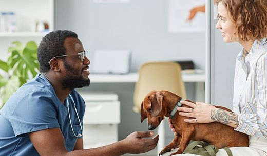 A vet kneeling in front of client with dog patient in lap.
